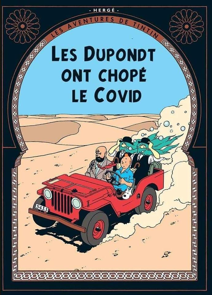 Tintin les dupont