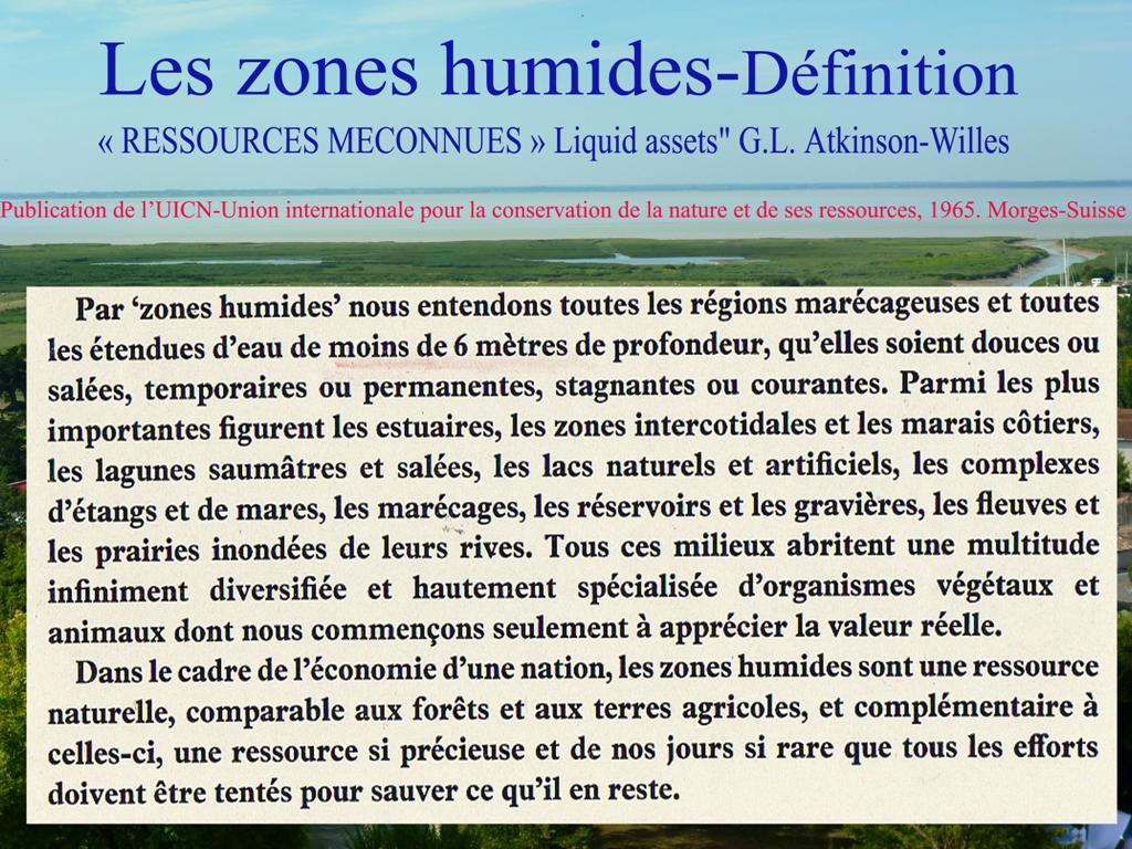 Zones humides definition b